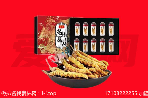 郑州荥阳市回收虫草.jpg